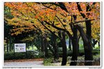 nEO_IMG_IMG_4613n