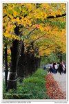 nEO_IMG_IMG_4616n