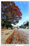 nEO_IMG_IMG_8540bm