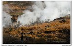 nEO_IMG_IMG_8872n