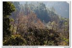 nEO_IMG_IMG_1994y
