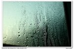 nEO_IMG_IMG_4851uy