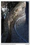 nEO_IMG_IMG_4859uy