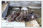 nEO_IMG_IMG_4876uy