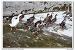 nEO_IMG_IMG_4882uy