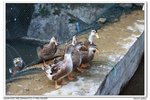 nEO_IMG_IMG_4886uy