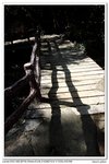 nEO_IMG_IMG_4942uy