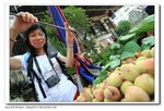 IMG_3335OYC_nEO_IMG