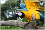 nEO_IMG_IMG_7619un