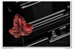 nEO_IMG_IMG_7758d