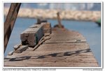 nEO_IMG_IMG_5846