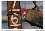 nEO_IMG_IMG_5847