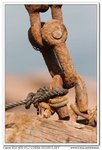 nEO_IMG_IMG_5876