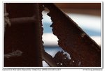 nEO_IMG_IMG_5880