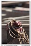 nEO_IMG_IMG_5882