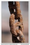 nEO_IMG_IMG_5884