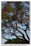 IMG_1984v_nEO_IMG