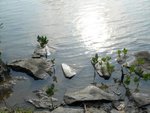 ap_20070327024837431