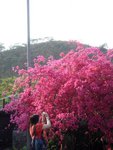 ap_20070327025118387