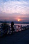 DSC08455