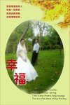 DSC06330