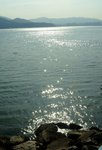DSC08238