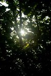 DSC08257