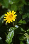 DSC08266