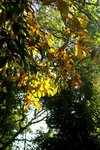 DSC08279