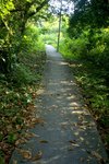 DSC08281