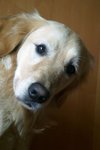 DSC07030