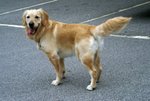 DSC07061