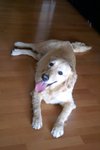 DSC07169