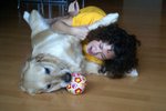 DSC07296
