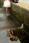 DSC08946