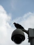 DSC06903