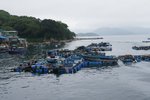 DSC00185