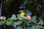 DSC00302