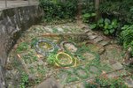 DSC00304