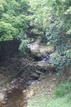 DSC00310