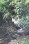 DSC00313