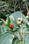 DSC00336