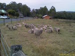 IMAG0244