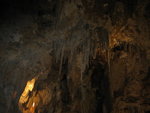 IMG_2987