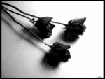 454k2f9