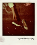 hd01_pola06s