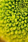 image0033