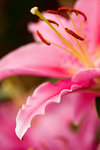 image0001