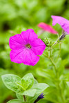 image0002