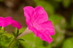 image0003
